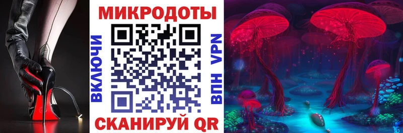 Купить  Борзя  Галлюциногенные грибы Cubensis 
